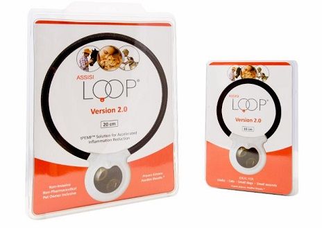 Assisi Loop two sizes