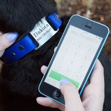 ScruffTag collar from dogIDs