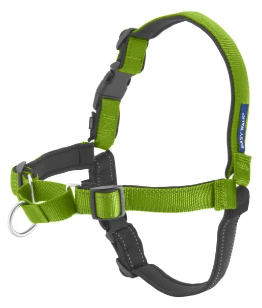 EasyWalk Harness