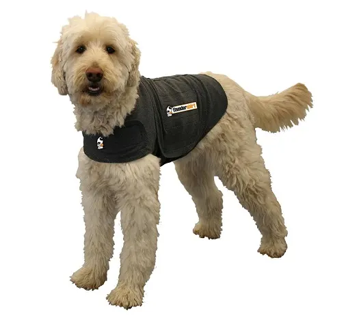 Thundershirt reviews