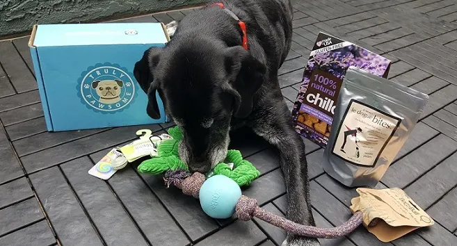 That Mutt dog subscription boxes from Truly Pawsome
