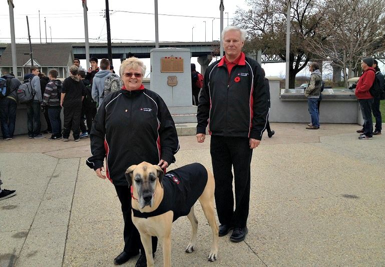 What does a therapy dog do?