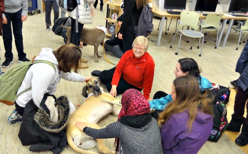 What does a therapy dog do?