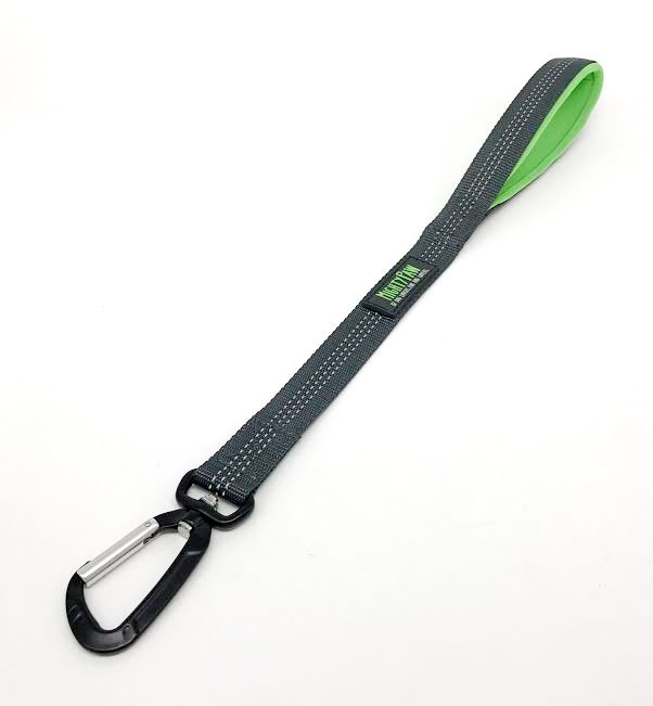 Mighty Paw traffic lead