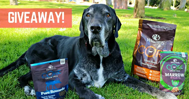 Wellness CORE review