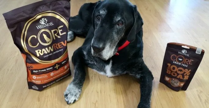 Ace with Wellness CORE RawRev food and treats