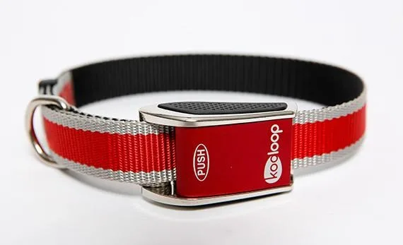 Kooloop dog collar review