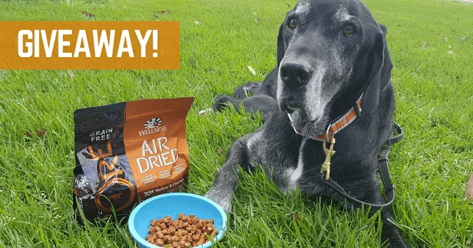 Wellness CORE Air Dried dog food