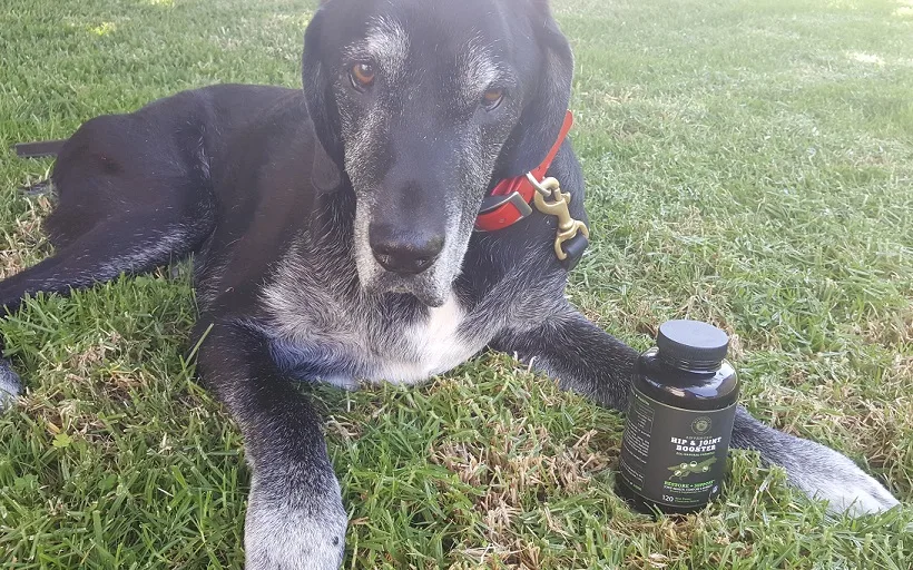Mavericks Ranch review - Hip & Joint support