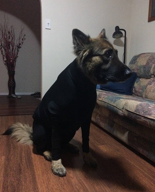 Jake wearing his Shed Defender