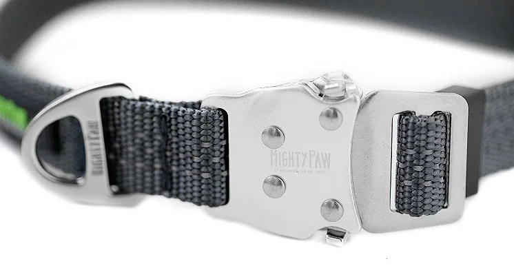 Mighty Paw metal buckle collar review
