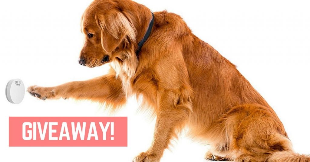 Mighty Paw dog doorbell review