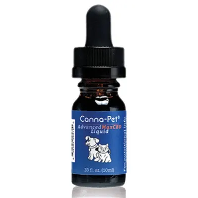 CBD oil for dogs