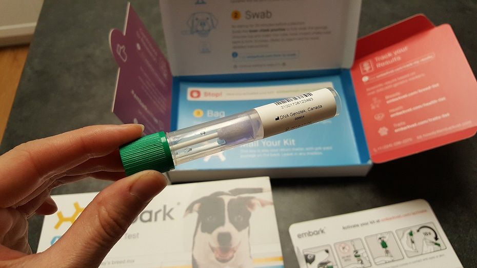 Embark dog DNA test review