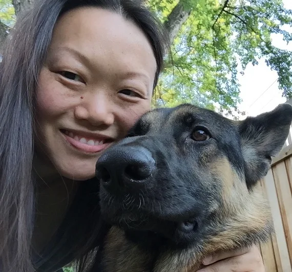German shepherd