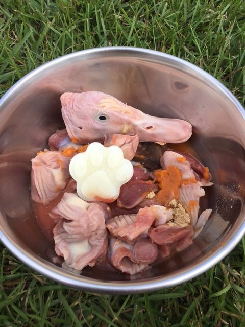 Affordable raw meaty bones - Duck head from Raw Feeding Miami