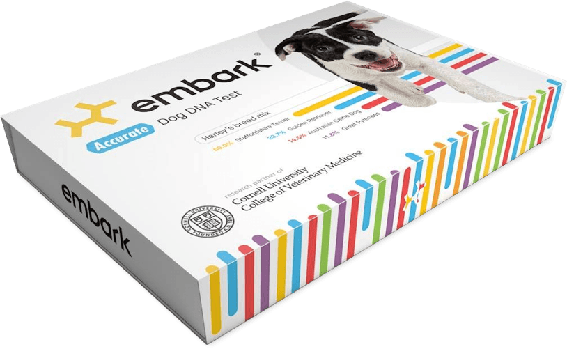 Embark dog DNA test
