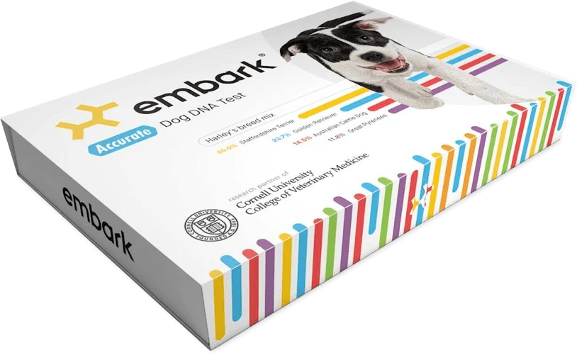 Embark dog DNA test