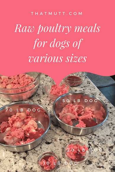 Raw chicken and turkey recipe for dogs of all sizes #rawdogfood #rawfeeding #rawfed #rawdogfoodcommunity