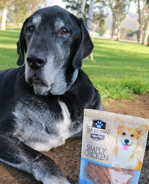 My dog Ace with Dr. Dalton's Treats