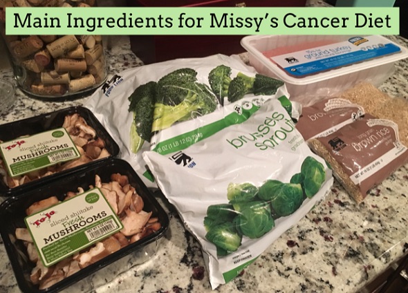 Is it OK to feed raw dog food to a dog with cancer?