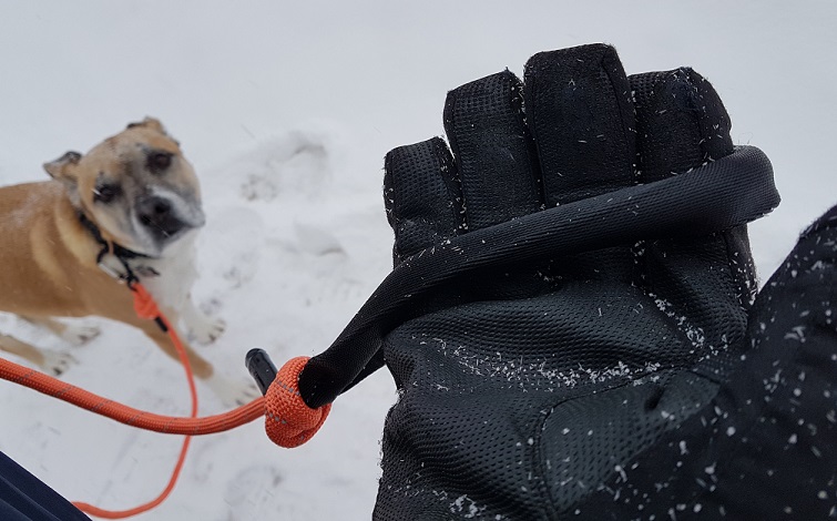 Mighty Paw rope leash review