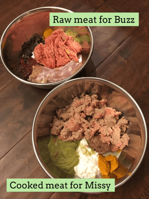 Should you feed raw dog food for dogs with cancer?