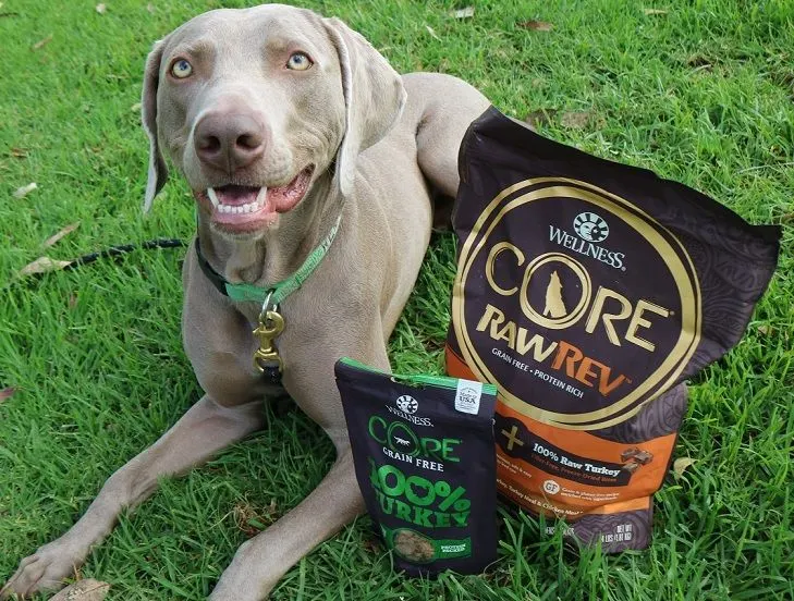 Wellness CORE freeze-dried raw treats review