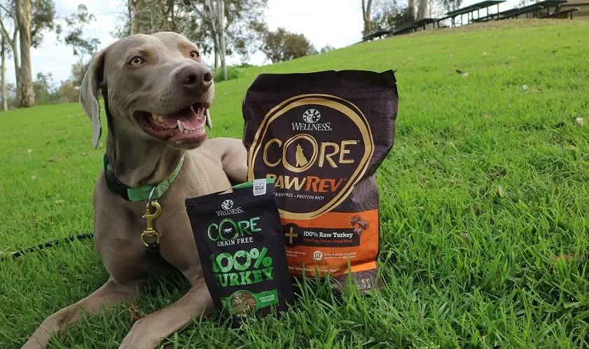 Remy with Wellness CORE freeze dried raw treats