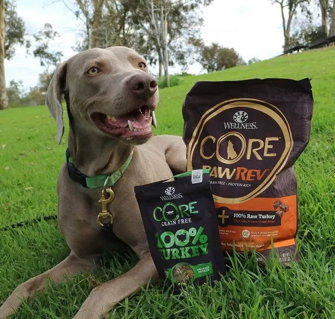Wellness CORE freeze-dried raw treats review