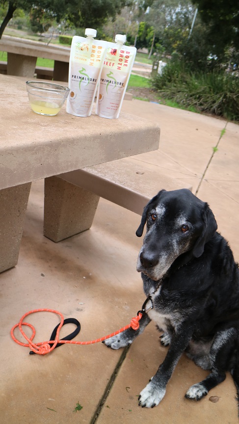 Primalvore bone broth for dogs review