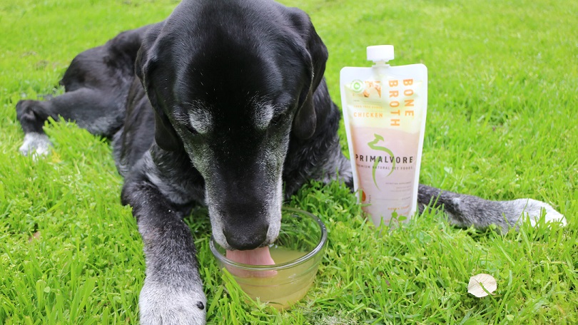 Primalvore bone broth for dogs