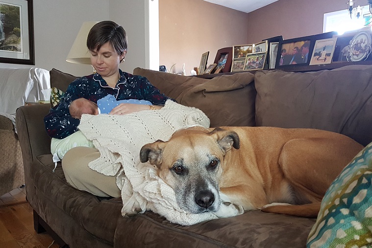 The first greeting between your dog and baby