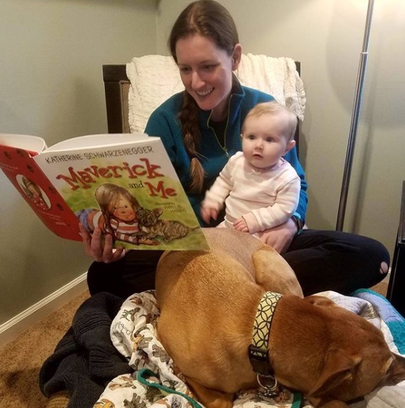 Preparing your dog for a baby