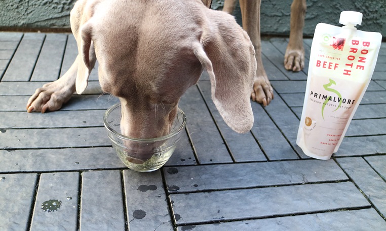 Organic bone broth for dogs