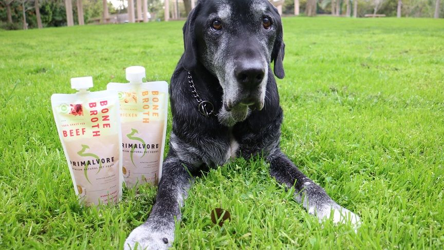 Bone broth for dogs