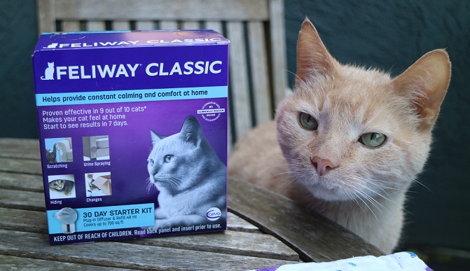 FELIWAY Classic Home Diffuser for cats