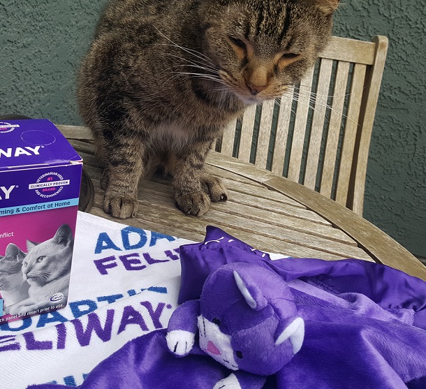 Feliway for cats