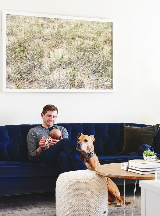 Introducing your pets to a baby