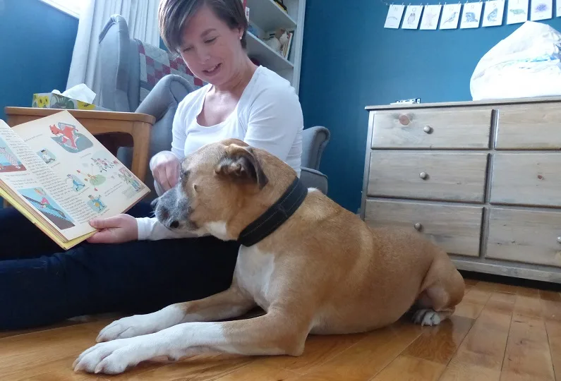 The baby's room - safe spaces for your baby and your dog