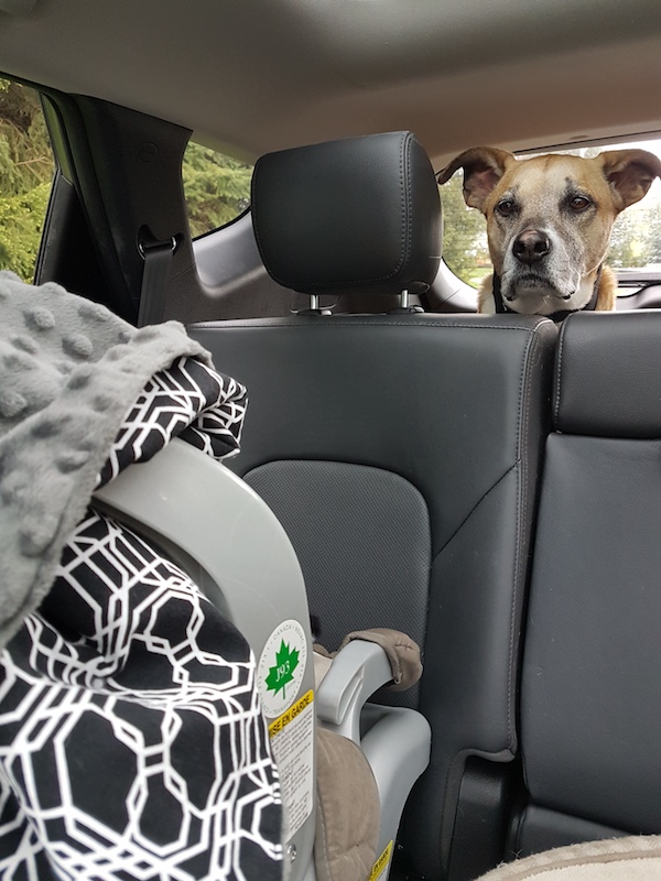 Baxter and Elli jpg