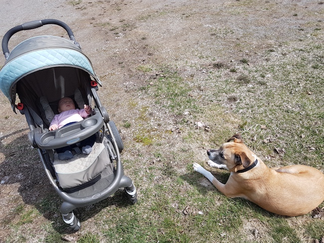 Dog and baby resources - baby Ellie and my dog Baxter