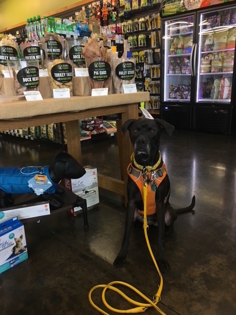 Missy posing in front of the VE-Raw Bar at Naturally Unleashed