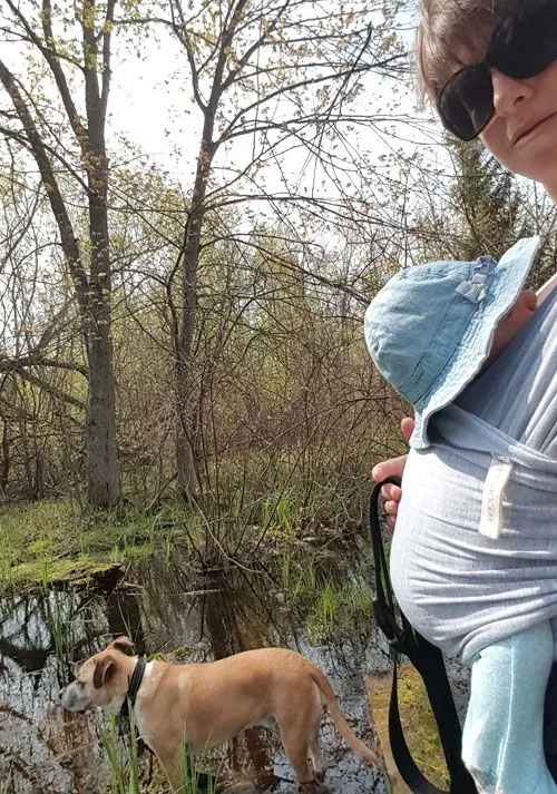 Hiking with Baxter and Ellie