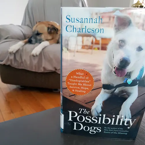The Possibility Dogs by Susannah Charleson