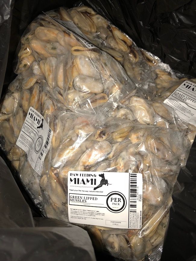 Green Lipped Mussels for dogs