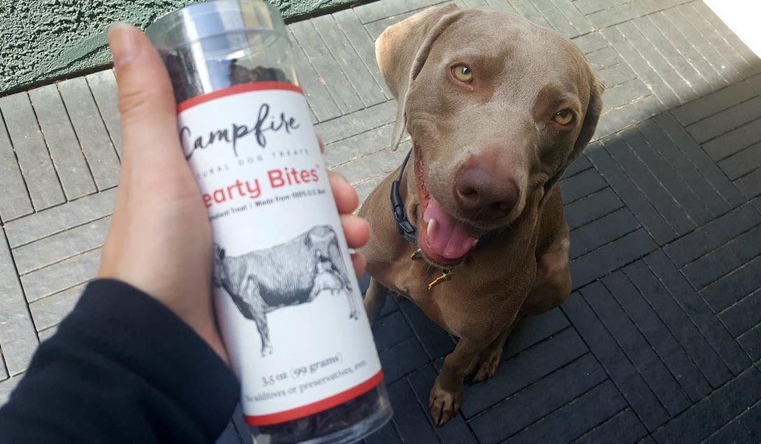 Remy with his Campfire treats