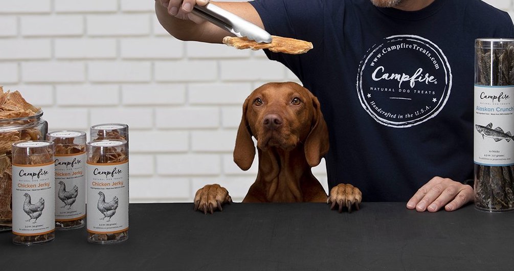Pippa the Vizsla from Campfire Treats