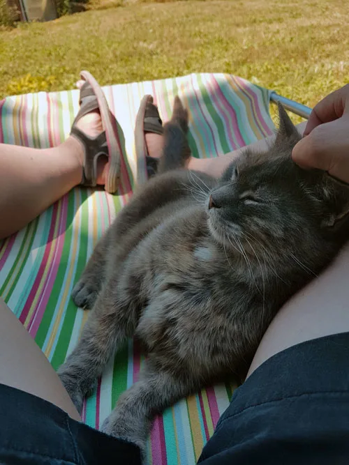 Cuddling with my barn cat