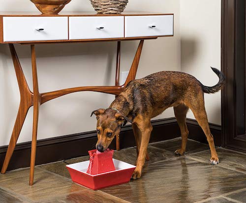 PetSafe Drinkwell pet water fountain